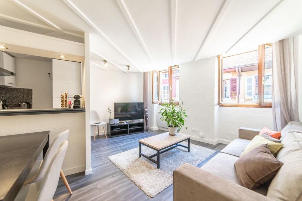 Le Saint Jean - Appartement Rue Carnot Pour 2 - 4 Pers Annecy Dış mekan fotoğraf
